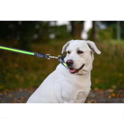 Kerbl Light & Reflex 120 cm / 25 mm - Light-up dog lead