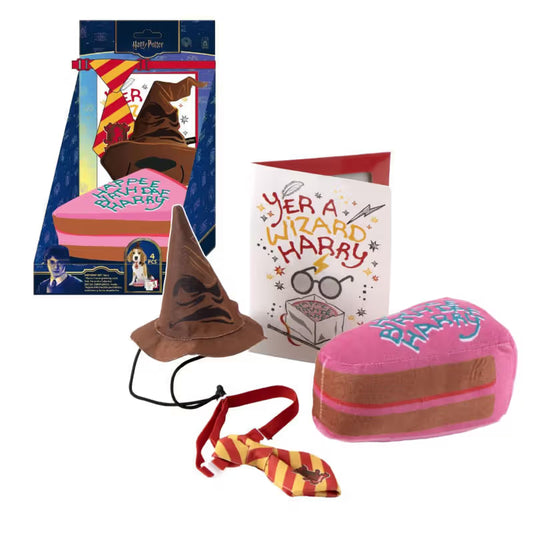 Disney & Warner Bros Kit de Aniversário com Brinquedos Harry Potter - Birthday kit for dogs and cats