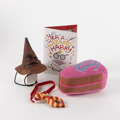 Disney & Warner Bros Kit de Aniversário com Brinquedos Harry Potter - Kit de cumpleaños para perro y gato
