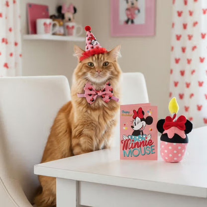 Disney & Warner Bros Kit de Aniversário com Brinquedos Minnie Mouse - Birthday kit for dogs and cats