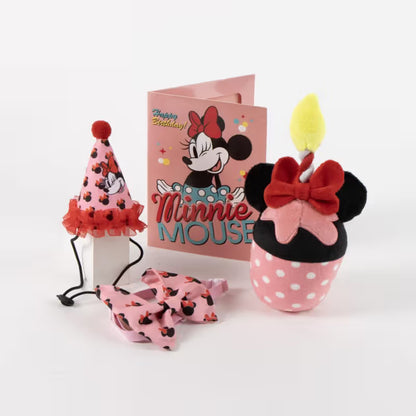 Disney & Warner Bros Kit de Aniversário com Brinquedos Minnie Mouse - Birthday kit for dogs and cats