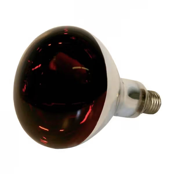 Kerbl Lâmpada de Calor Infravermelho 250W