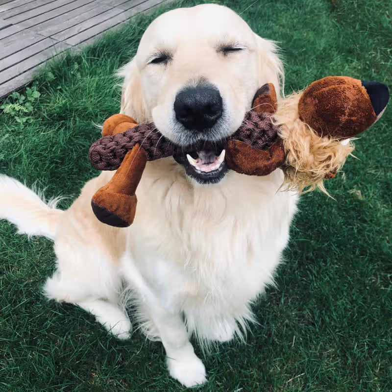 Duvo Plus Zoo Friends Leo - Juguete de peluche para perro