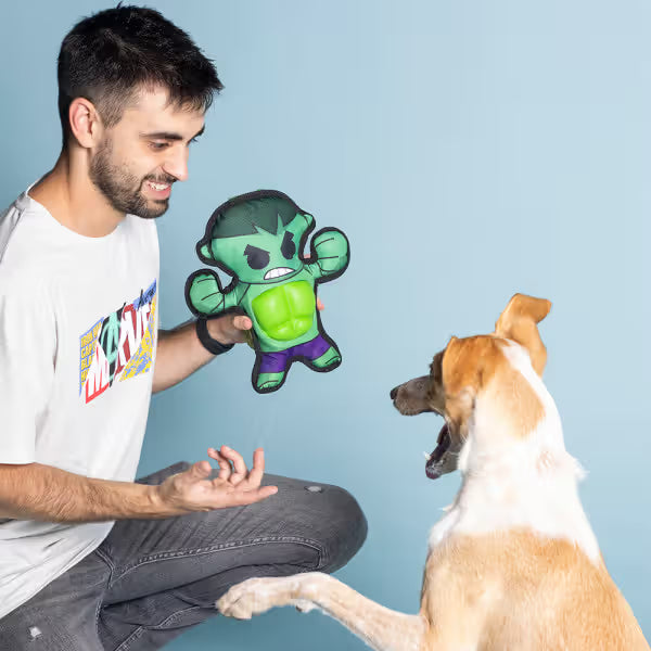 Disney & Warner Bros Marvel - Brinquedo para cão