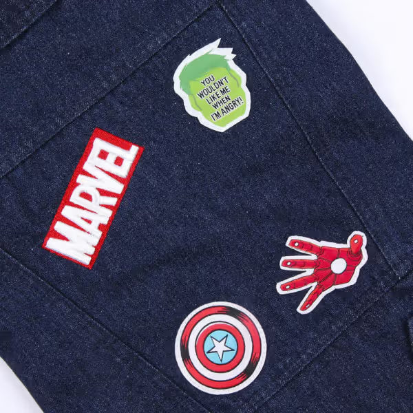 Disney & Warner Bros Marvel Perro - Pienso seco para perro