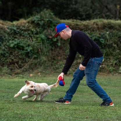 Disney & Warner Bros Marvel - Peluche con pelota para perros