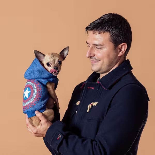 Disney & Warner Bros Marvel Dog Sweatshirt - Dry dog food