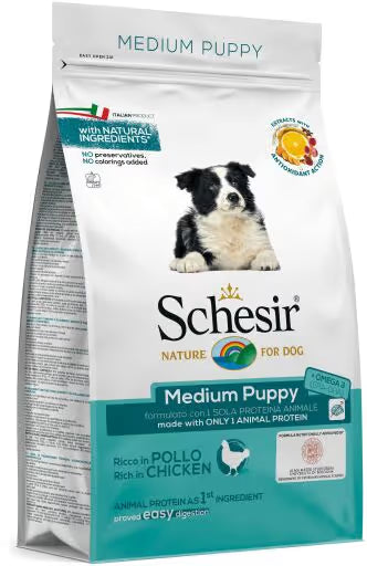 https://cdn.shopify.com/s/files/1/0916/7627/9129/files/medium-puppy_1_g.avif?v=1773251464
