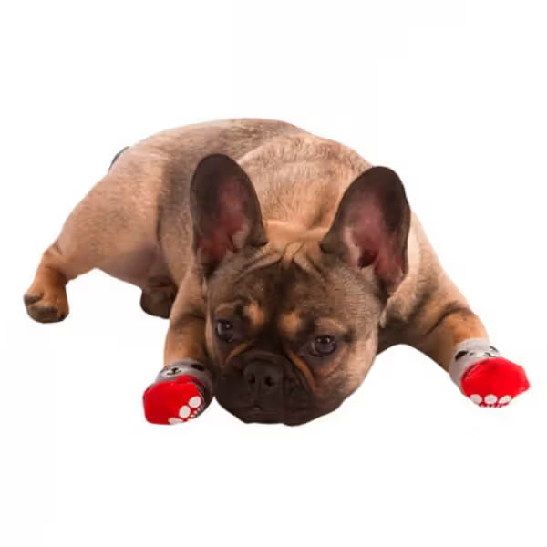 Kerbl Meias Bruno - para perro