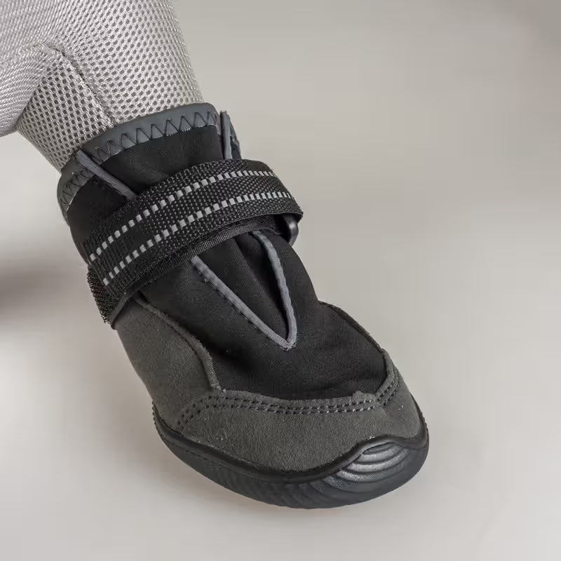Duvo Plus - Protective socks for dogs