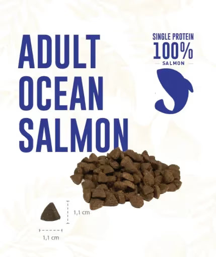 OFERTA 2kg: Weego Dog Grain Free Food Grain Free Adult Ocean Salmon 10 KG + Embalagem 2kg Grátis