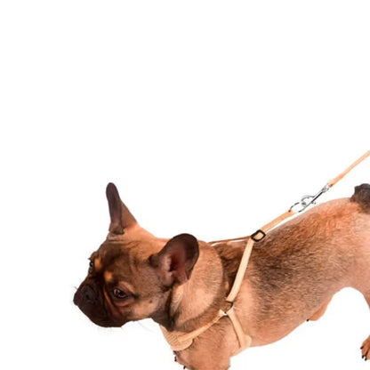 Kerbl - Harness and lead set for puppies