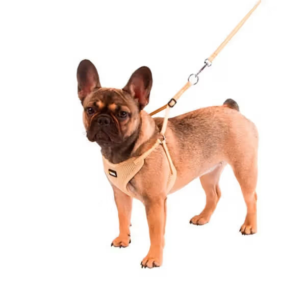 Kerbl - Harness and lead set for puppies