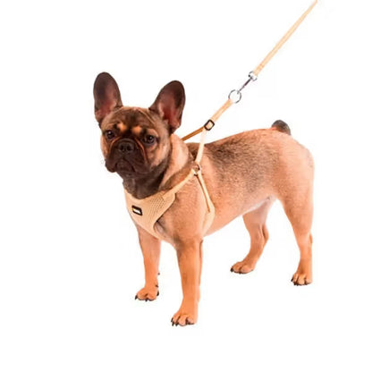 Kerbl - Harness and lead set for puppies