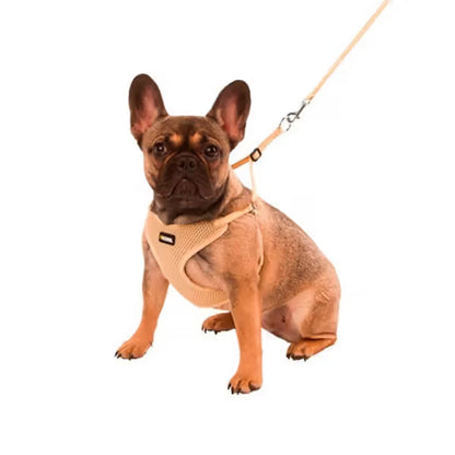 Kerbl - Harness and lead set for puppies