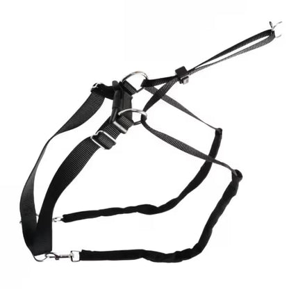 Kerbl Maxi Leader - Training harness for dogs