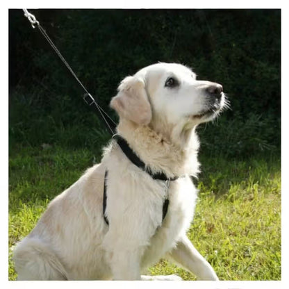 Kerbl Maxi Leader - Training harness for dogs