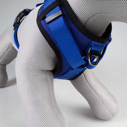 Duvo Plus Explor Classic Azul - Peitoral em Y para cão
