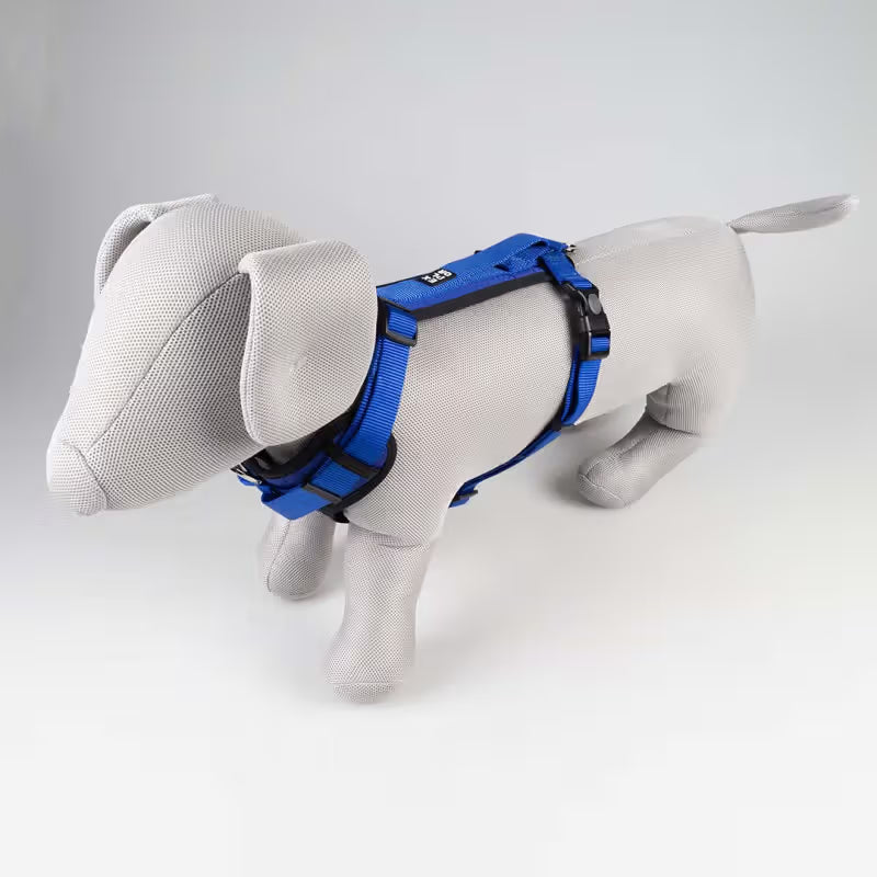 Duvo Plus Explor Classic Azul - Peitoral em Y para cão