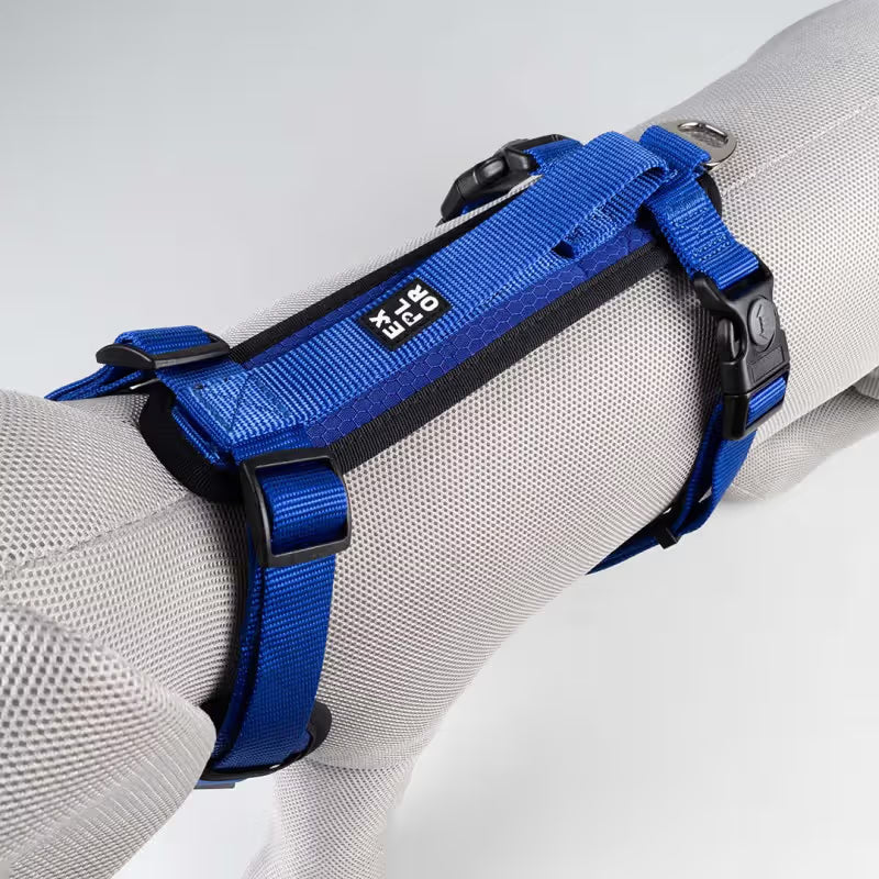 Duvo Plus Explor Classic Azul - Peitoral em Y para cão