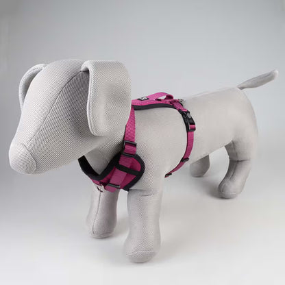 Duvo Plus Explor Classic Rosa - Peitoral em Y para cão