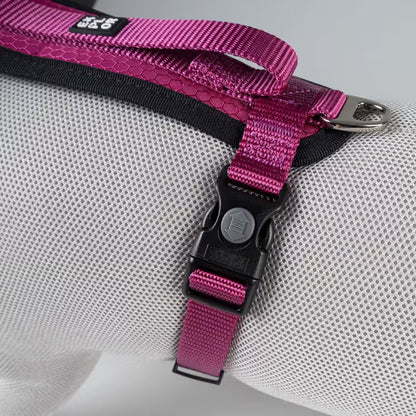 Duvo Plus Explor Classic Rosa - Peitoral em Y para cão