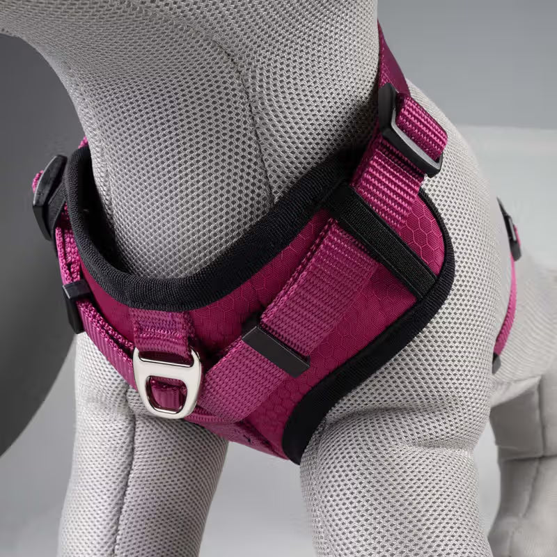 Duvo Plus Explor Classic Rosa - Peitoral em Y para cão