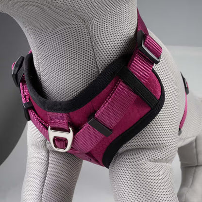Duvo Plus Explor Classic Rosa - Peitoral em Y para cão