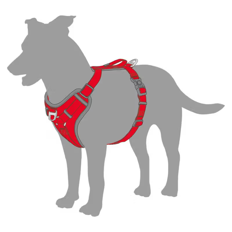 Duvo Plus Explor Classic Vermelho - Peitoral em Y para cão