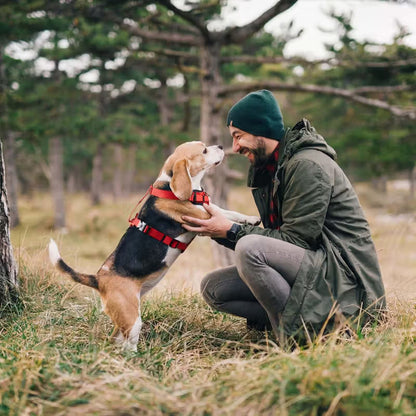 Duvo Plus Explor Classic Vermelho - Peitoral em Y para cão