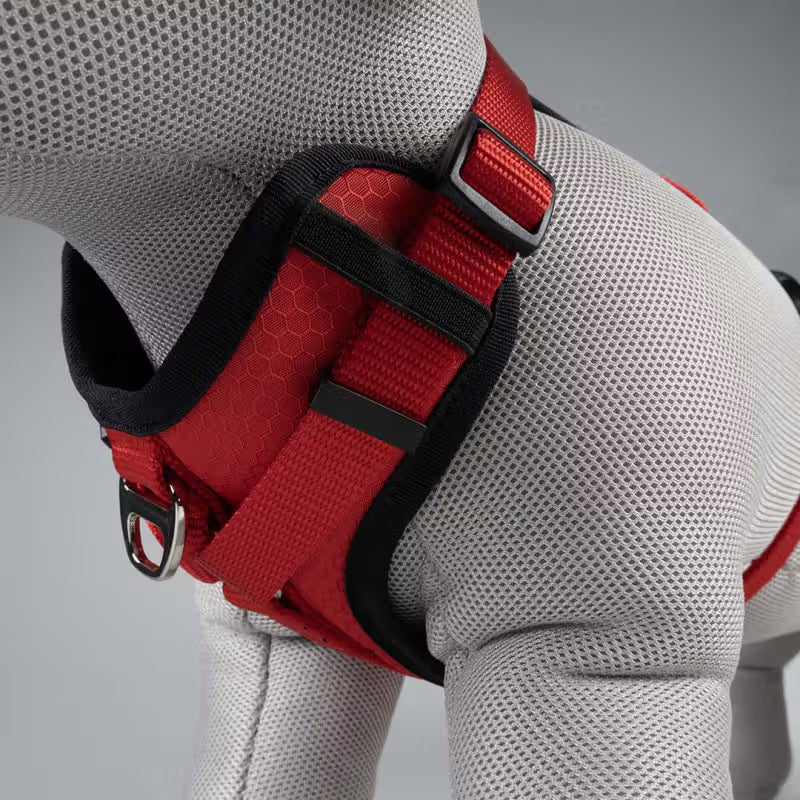 Duvo Plus Explor Classic Vermelho - Peitoral em Y para cão
