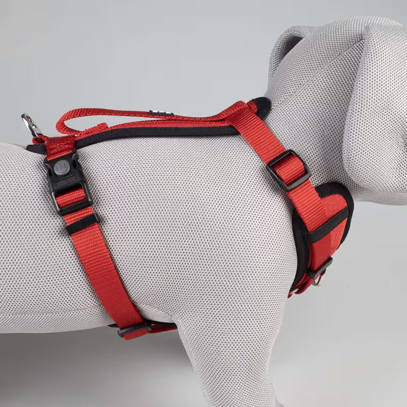 Duvo Plus Explor Classic Vermelho - Peitoral em Y para cão