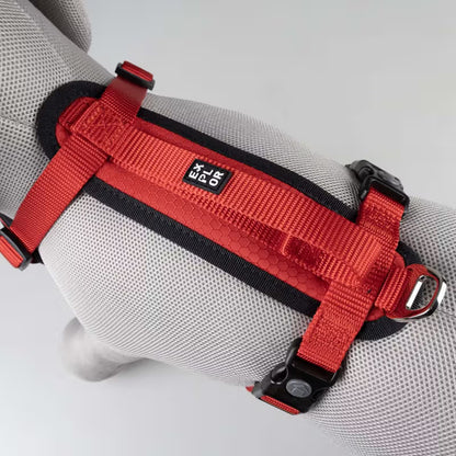 Duvo Plus Explor Classic Vermelho - Peitoral em Y para cão