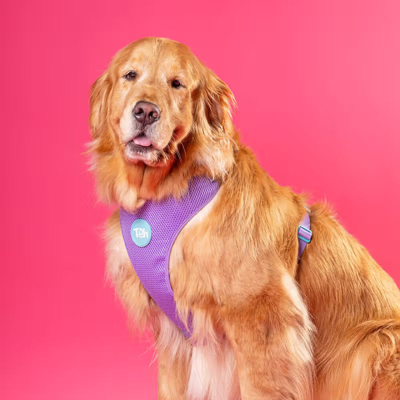 TOH Peitoral Mesh em H - Peitoral para cão