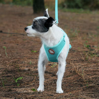 TOH Peitoral Mesh em H para Cão - Dog harness