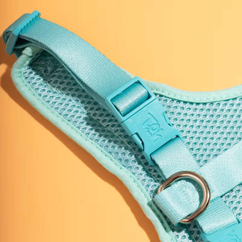 TOH Peitoral Mesh em H para Cão - Dog harness