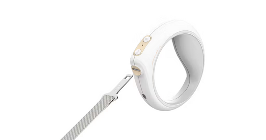 Petkit GO-Smart - Correa inteligente para perro