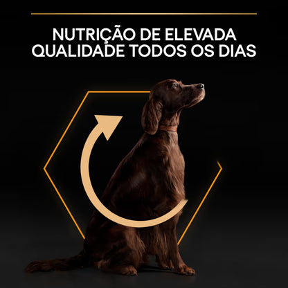 Pro Plan Dog Large Athletic Adult Everyday Nutrition Chicken Dog Food | 14kg + 2.5kg
