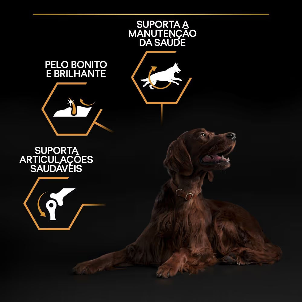 Pro Plan Dog Large Athletic Adult Everyday Nutrition Chicken Dog Food | 14kg + 2.5kg