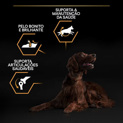 Pro Plan Dog Large Athletic Adult Everyday Nutrition Chicken Dog Food | 14kg + 2.5kg