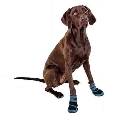 Kerbl Active - Protección para patas