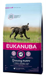 https://cdn.shopify.com/s/files/1/0916/7627/9129/files/puppy-racas-grandes_1_g.avif?v=1773243712