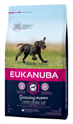 https://cdn.shopify.com/s/files/1/0916/7627/9129/files/puppy-racas-grandes_1_g.avif?v=1773243712