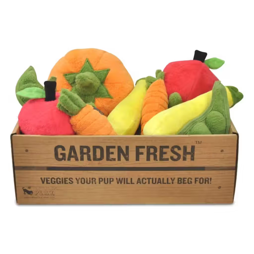 PLAY Garden Fresh Toy Set - Brinquedos para cão