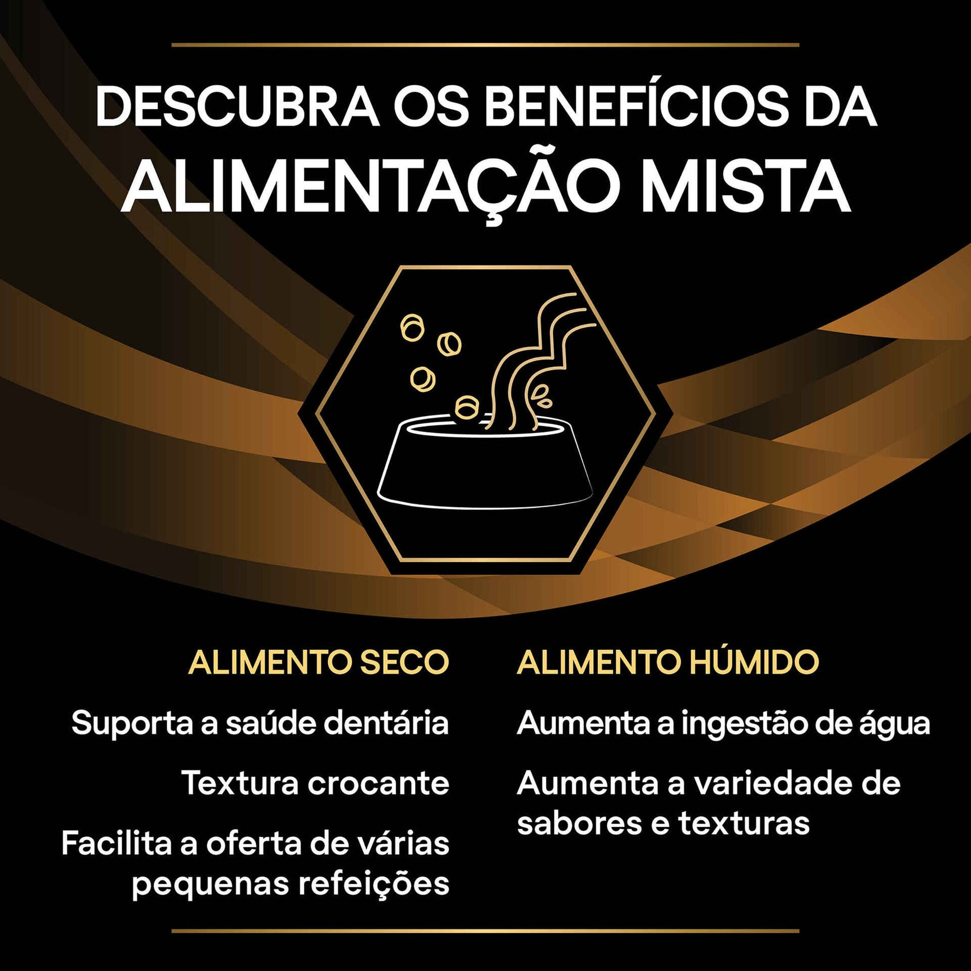 https://cdn.shopify.com/s/files/1/0916/7627/9129/files/r.jpg?v=1762515117