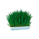 Kerbl Hierba para Gato - Snack para gato