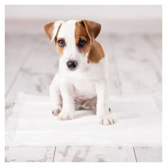 Duvo Plus Resguardos P-Pad - Fresh grass scented dog training pads