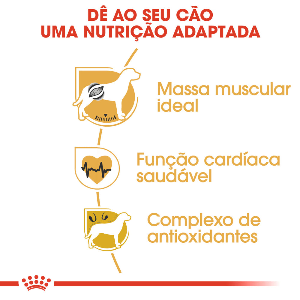 Royal Canin Boxer Adulto Perro Aves - Pienso seco para perro