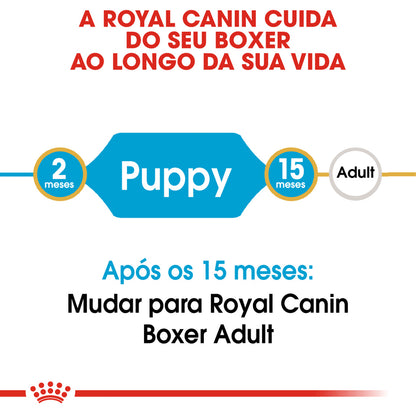 Royal Canin Boxer Cachorro Cão Aves - Ração seca para cão