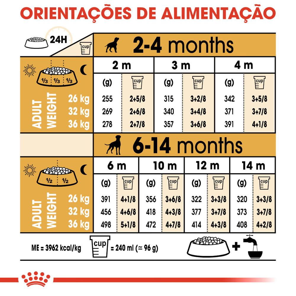 Royal Canin Boxer Cachorro Cão Aves - Ração seca para cão
